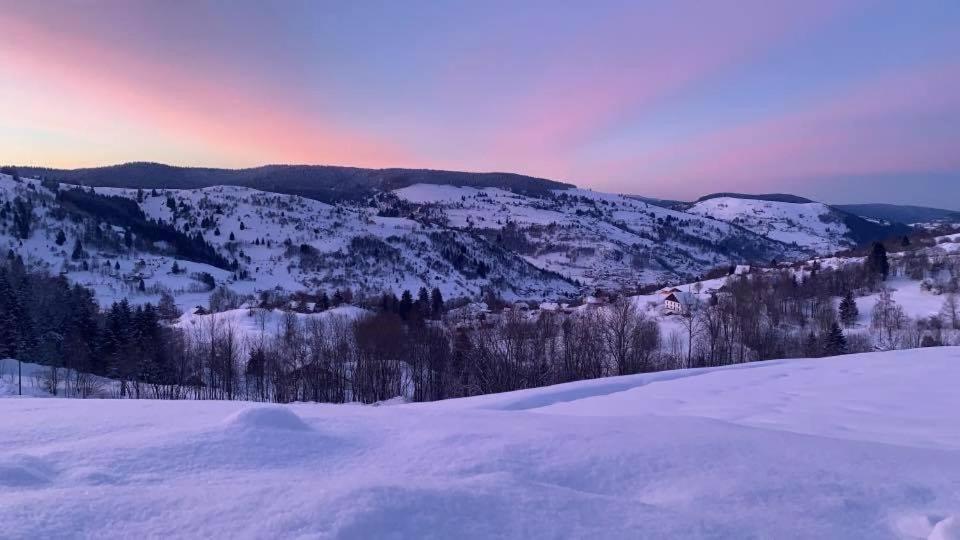 Le Gite De Mon Grand Pere Lägenhet La Bresse Exteriör bild